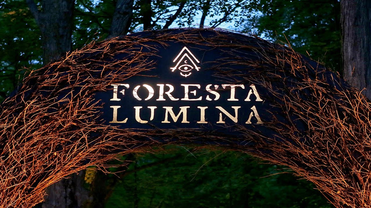 Foresta Lumina, Quebec — A Magical Night Walk in Coaticook Canyon