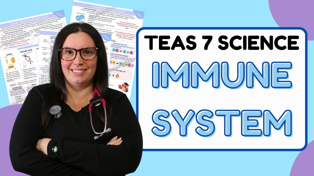 2025 ATI TEAS 7 Science Anatomy and Physiology Immune System with Nurse Cheung