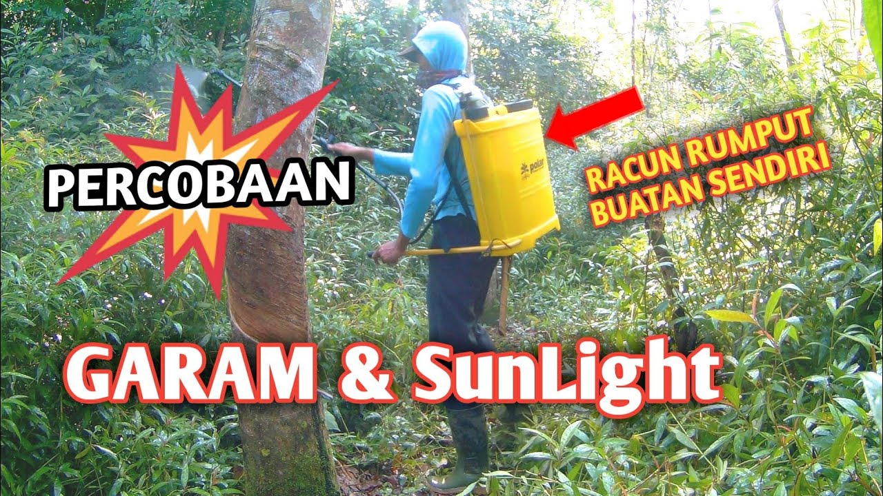 CARA RACUN RUMPUT DENGAN HERBISIDA BUATAN SENDIRI Berbahan Alami 