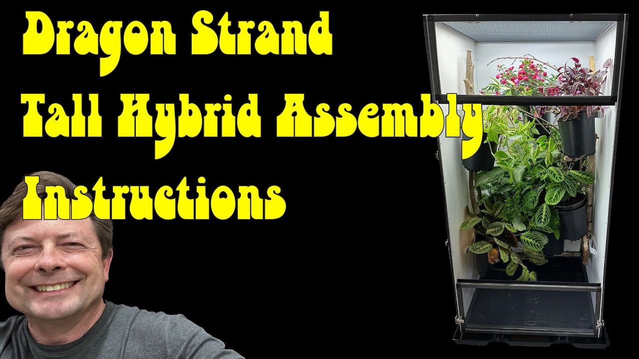 Assembling the Dragon Strand Tall hybrid Cage
