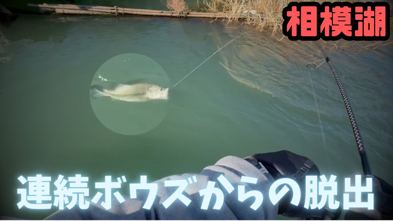 真冬の相模湖をラバージグでレイダウンランガン作戦【1月】