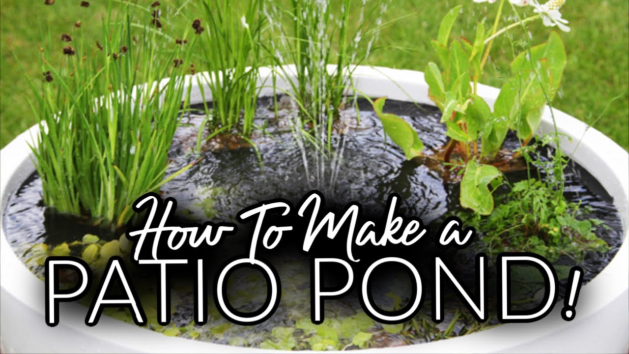 Make your very own Backyard PATIO POND! A Pond in a POT