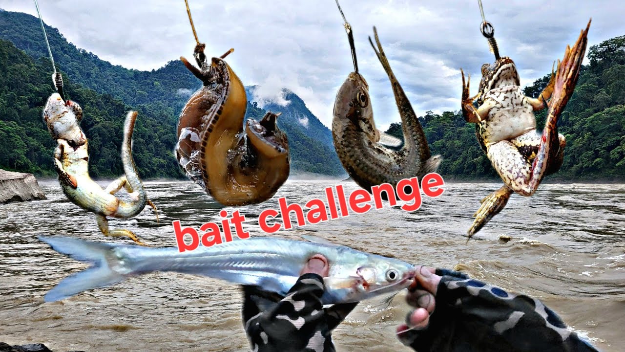 SEARCHING FOR BIGGEST FISH OF SIANG RIVER (PART-1) | Ajas Official