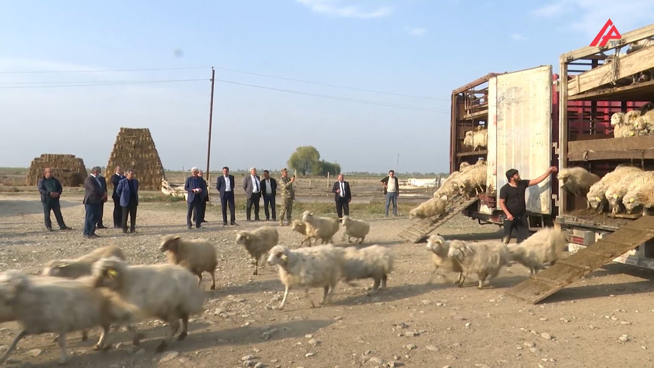 Qara&ccedil;&ouml;p sakinlərindən ordumuza b&ouml;y&uuml;k dəstək