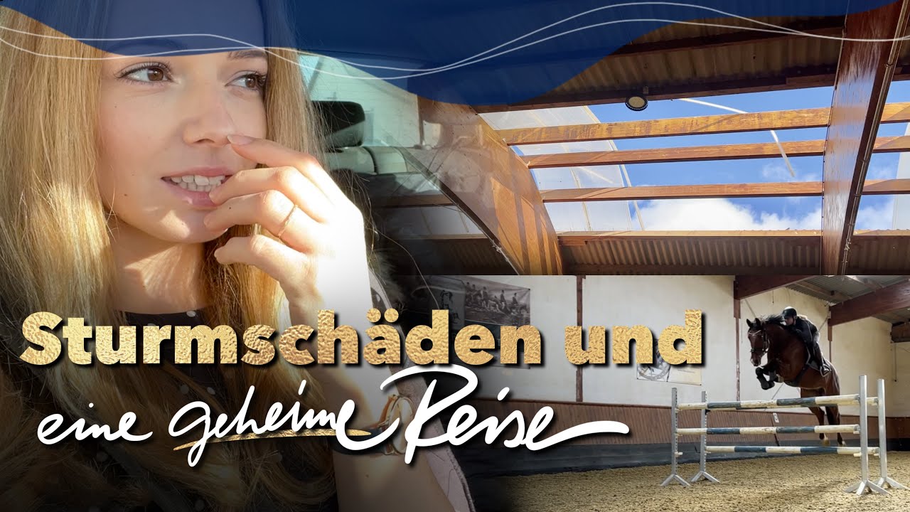 Reithallendach weggeflogen 😖 | Weekly Vlog #96