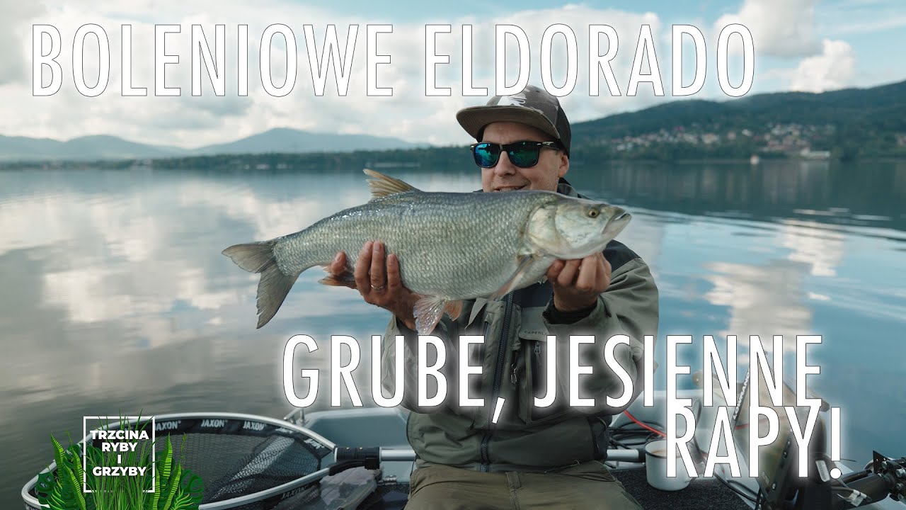 Boleniowe eldorado! Grube, jesienne rapy jedna za drugą!