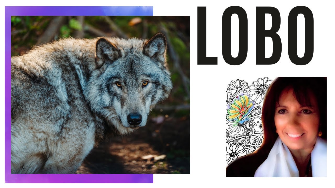 🔥Chamanismo Femenino: Animales de Poder🔥Que significa  🔥EL LOBO 🔥como Totem ESPIRITUAL 2* Parte