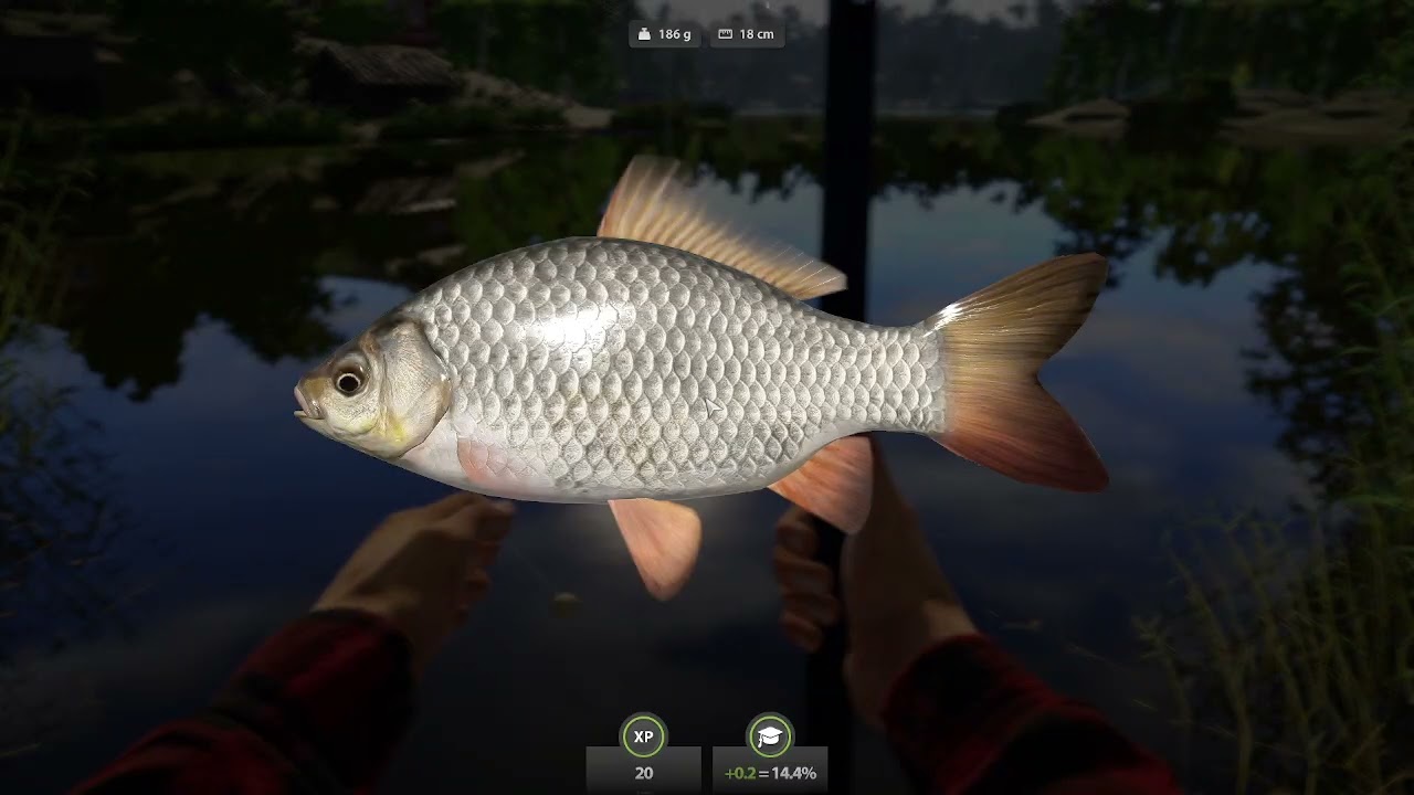 1 dalis RUSIAN FISHING 4