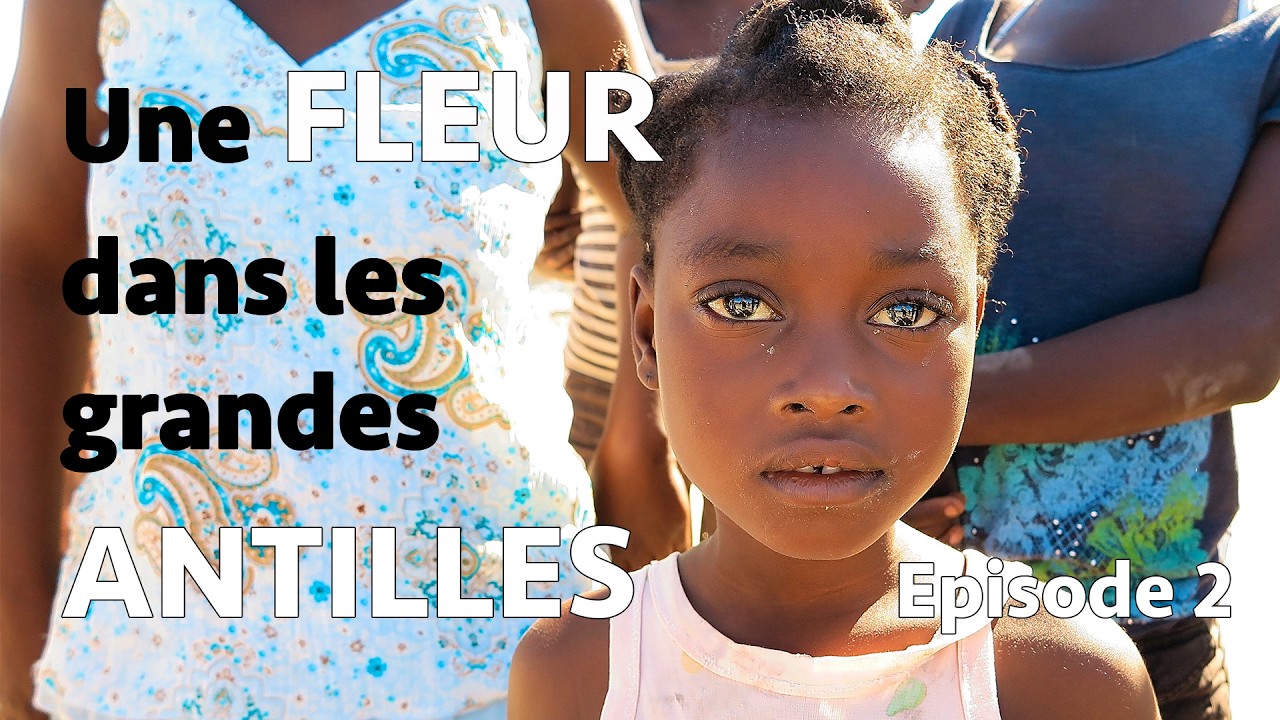 7.2 : Une fleur dans les grandes Antilles - Episode 2