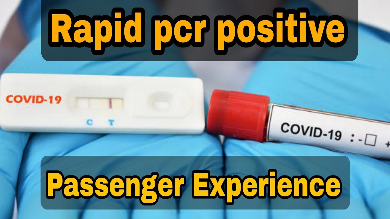 Rapid pcr positive passenger airport experience/ Latest updates/ Rapid pcr and Rtpcr