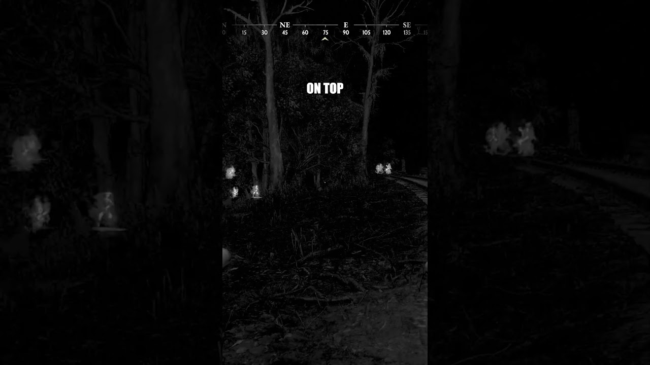 НОВАЯ ХАРАКТЕРИСТИКА! (Охота: Разборка 1896) #игры #охотаразборка #pvp