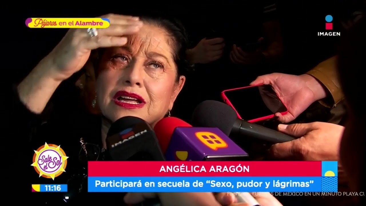 Angélica Aragón habla de la secuela de 'Sexo, pudor y lágrimas' | Sale el Sol