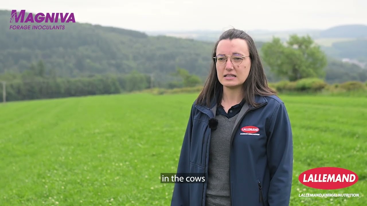 Maximizing silage quality with Magniva | University of Reading Trial