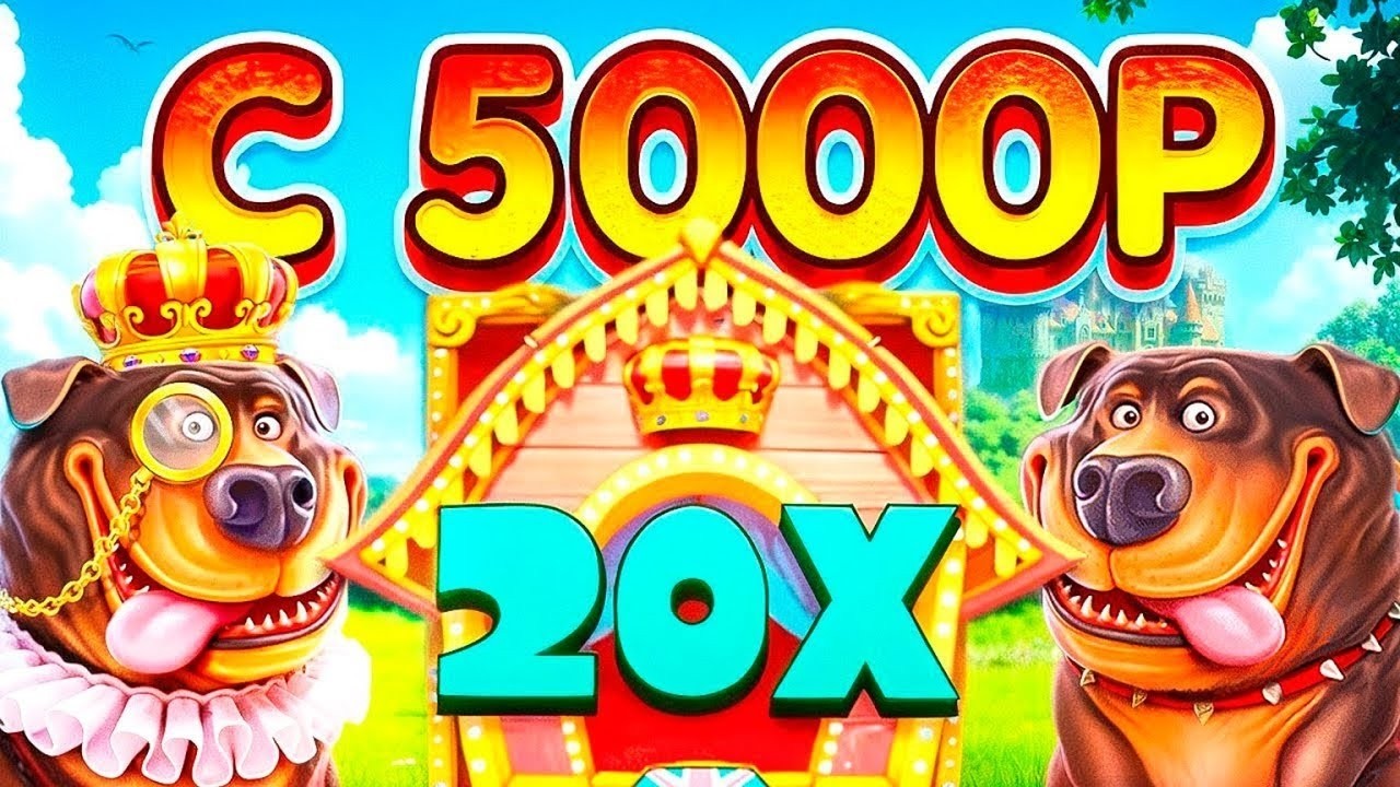 НОВЫЕ СОБАКИ С 5.000Р РАСКРУТИЛИСЬ ДО 120К В DOG HOUSE / ХОРОШИЙ ЗАНОС НЕДЕЛИ В ДОГ ХАУС