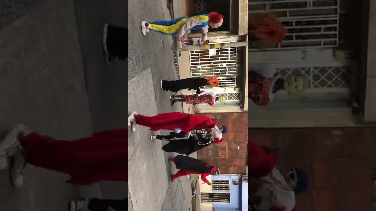 los mango biches 2019