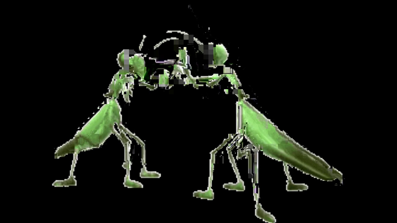 yungster jack ~ banjo mantis rokugatsu﹝slowed + reverb﹞
