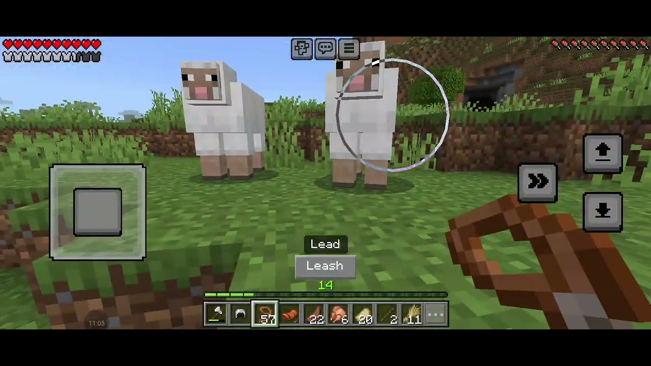 Minecraft ep7สร้างคอกสัตว์