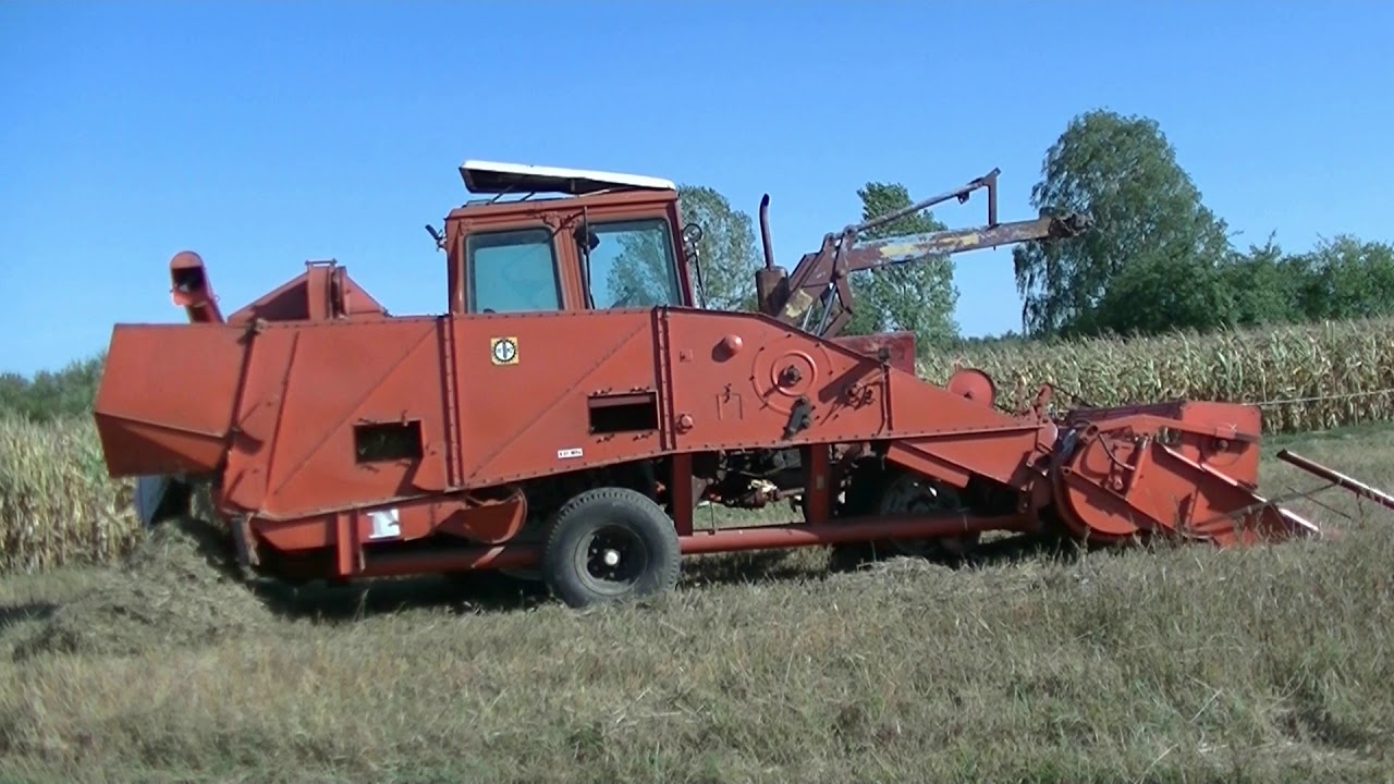 Koszenie zboża 2018 Mtz + Bizon Z020