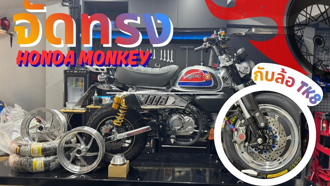 จัดทรง Honda monkey กับล้อ TK8