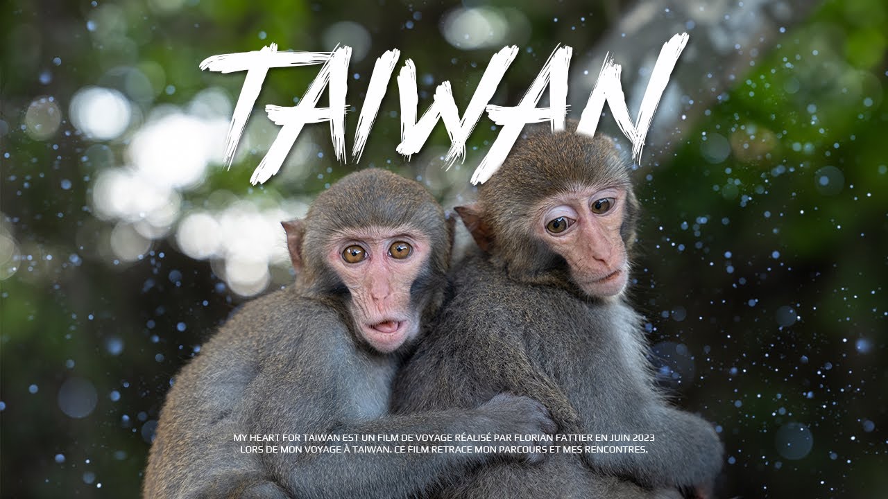 My heart for Taiwan - Lumix S5 & DJI Air 2s travel video