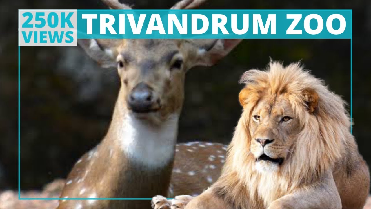 Thiruvananthapuram Zoo