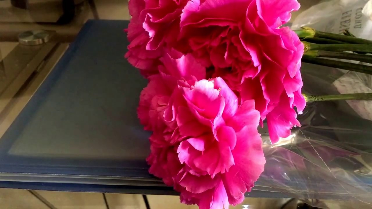 CUSTOM REQUEST! Flower allergy denial
