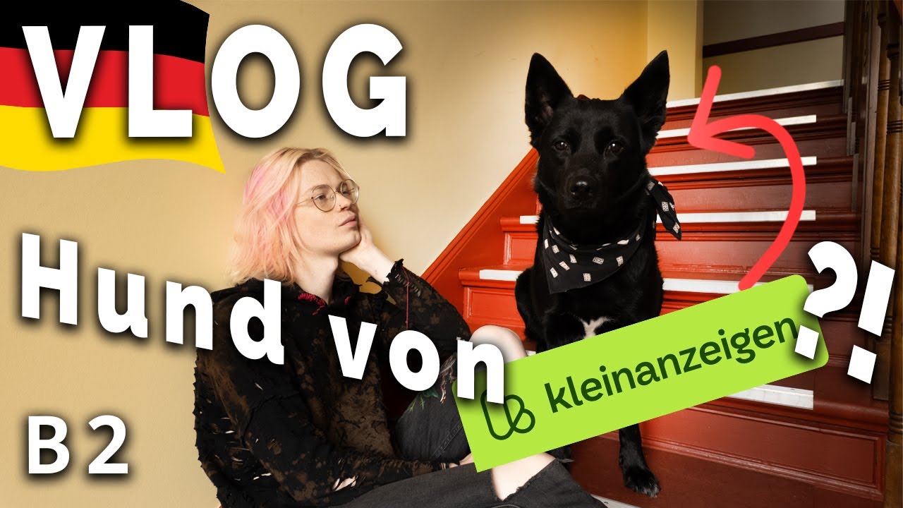 Real-life German Listening Practice / Advanced Comprehensible Input B2 C1
