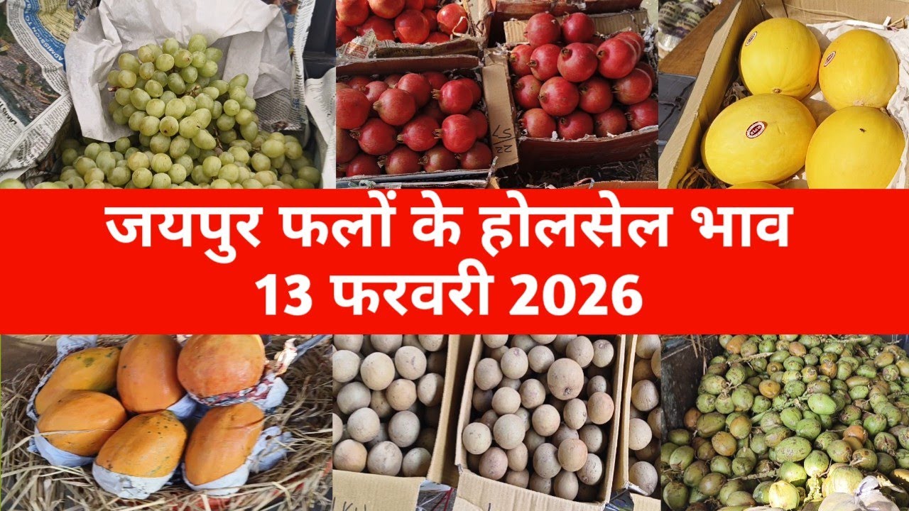13 फरवरी 2026 फलों के ताजा भाव | jaipur fruit market | jaipur mandi bhav 