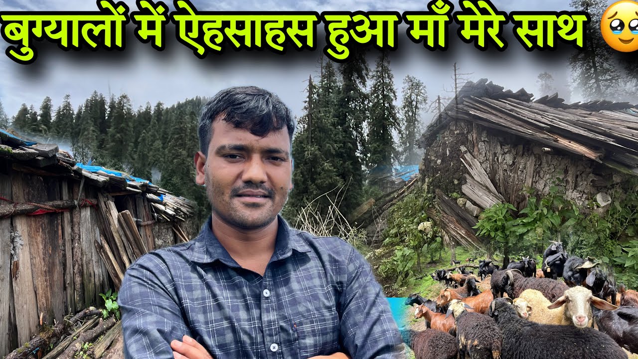 माँ मेरे साथ बुग्यालों में 🥹यहाँ से वापिस लौटने का मन नहीं करता 😟। shepherd lifestyle vlog