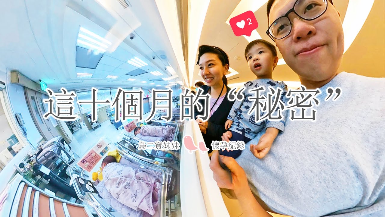 【鳥先生&鳥夫人】這十個月的秘密．鳥二寶懷孕紀錄