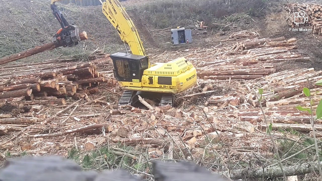 Tokoroa logging nz