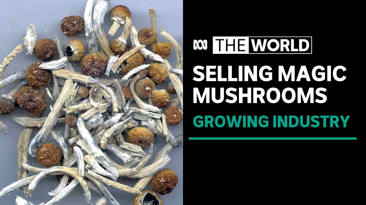 Inside Oregon's new magic mushroom industry | The World