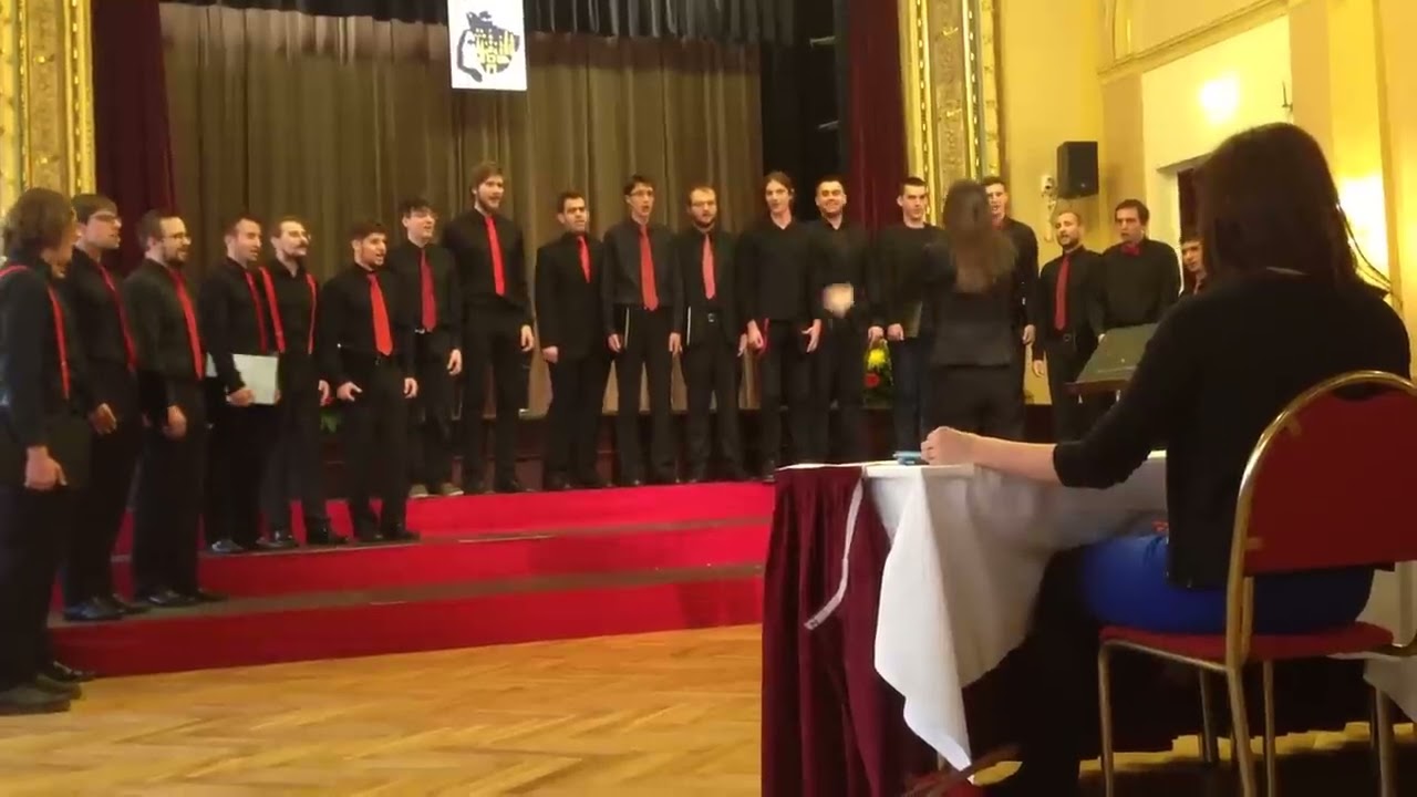 Concordia discors - Ogulinska