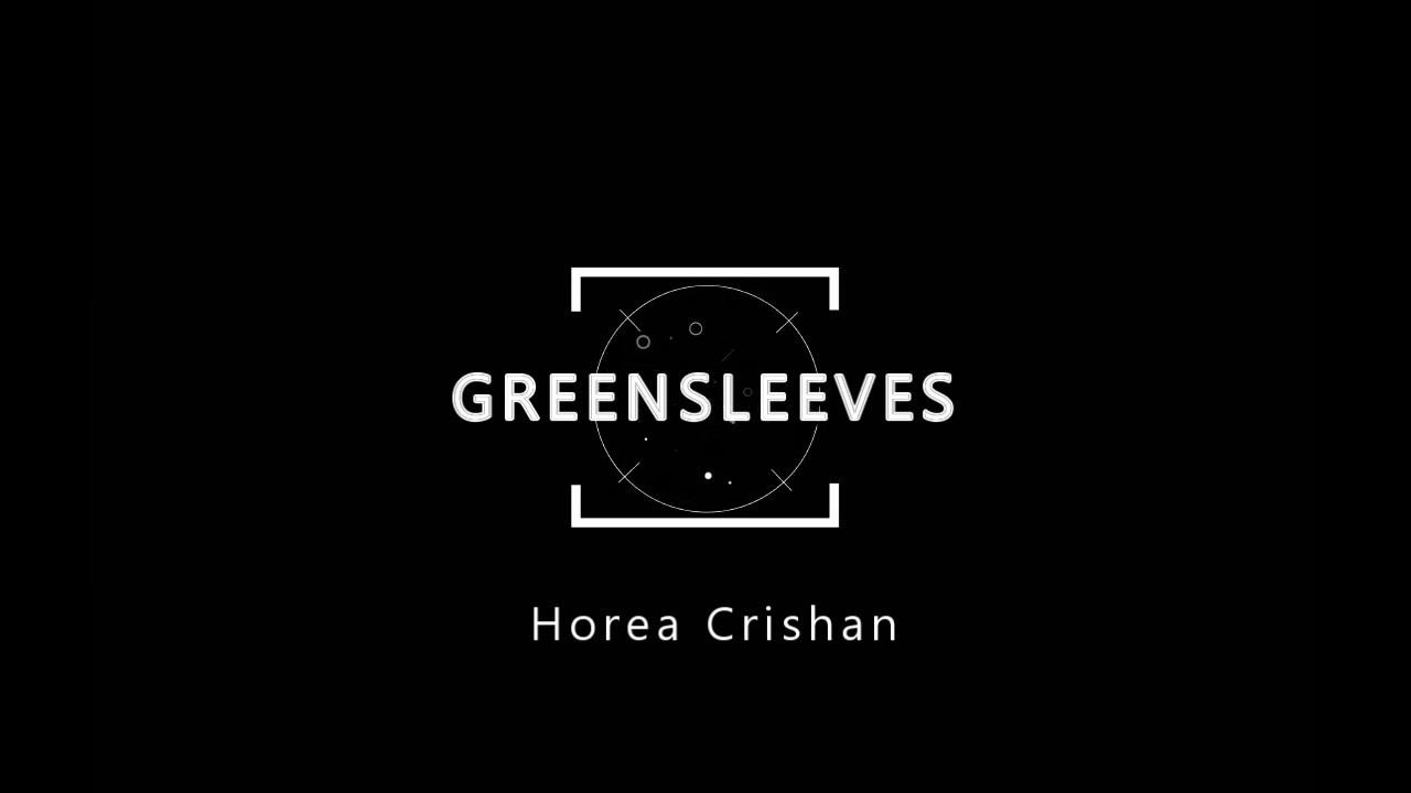 10- GREENSLEEVES - Horea Crishan