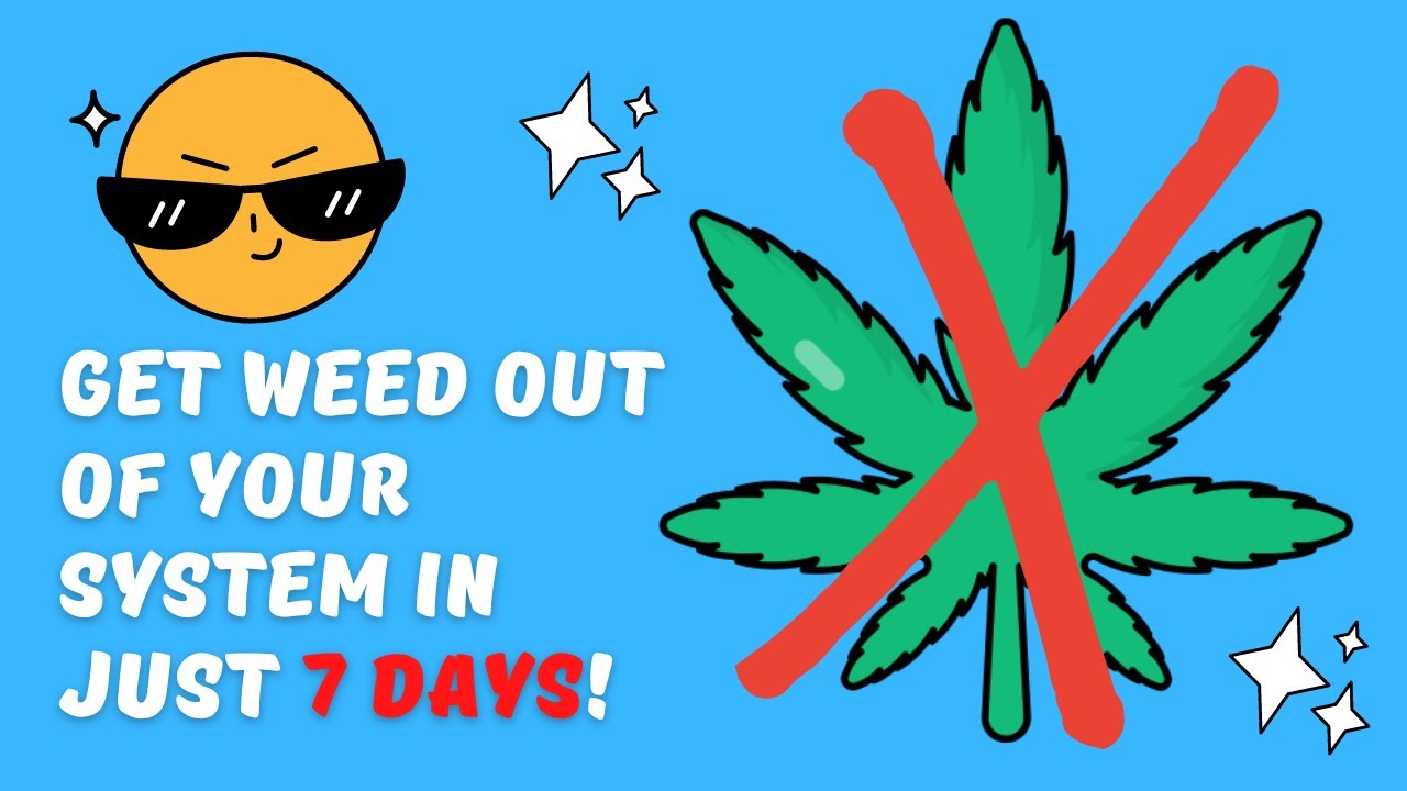 THC Detox: How to get weed out of your system in 7 days