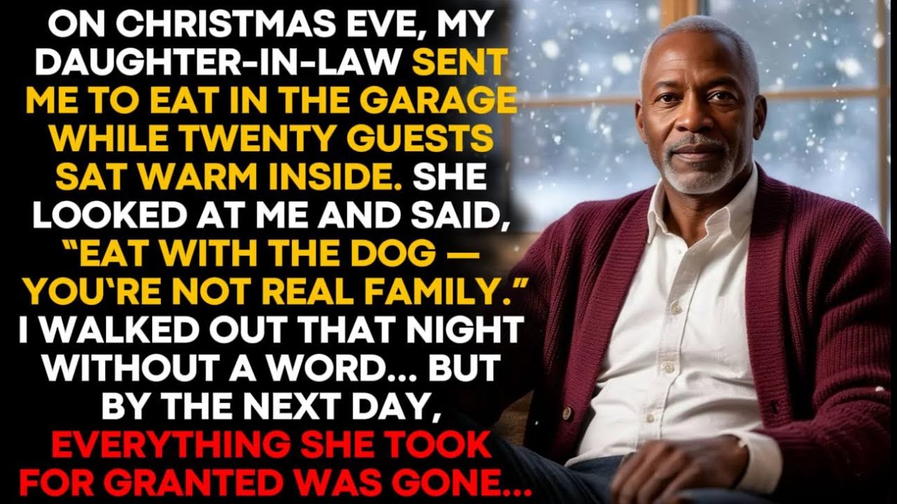 “EAT WITH THE DOG,” SHE SAID — BUT THE NEXT DAY CHANGED EVERYTHING..