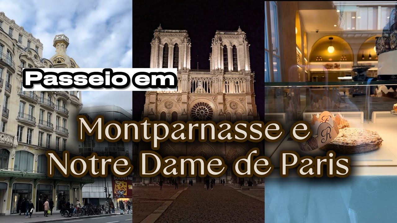 Passeio de Montparnasse a Notre Dame de Paris | Aproveite este momento agradável com gente 🌿