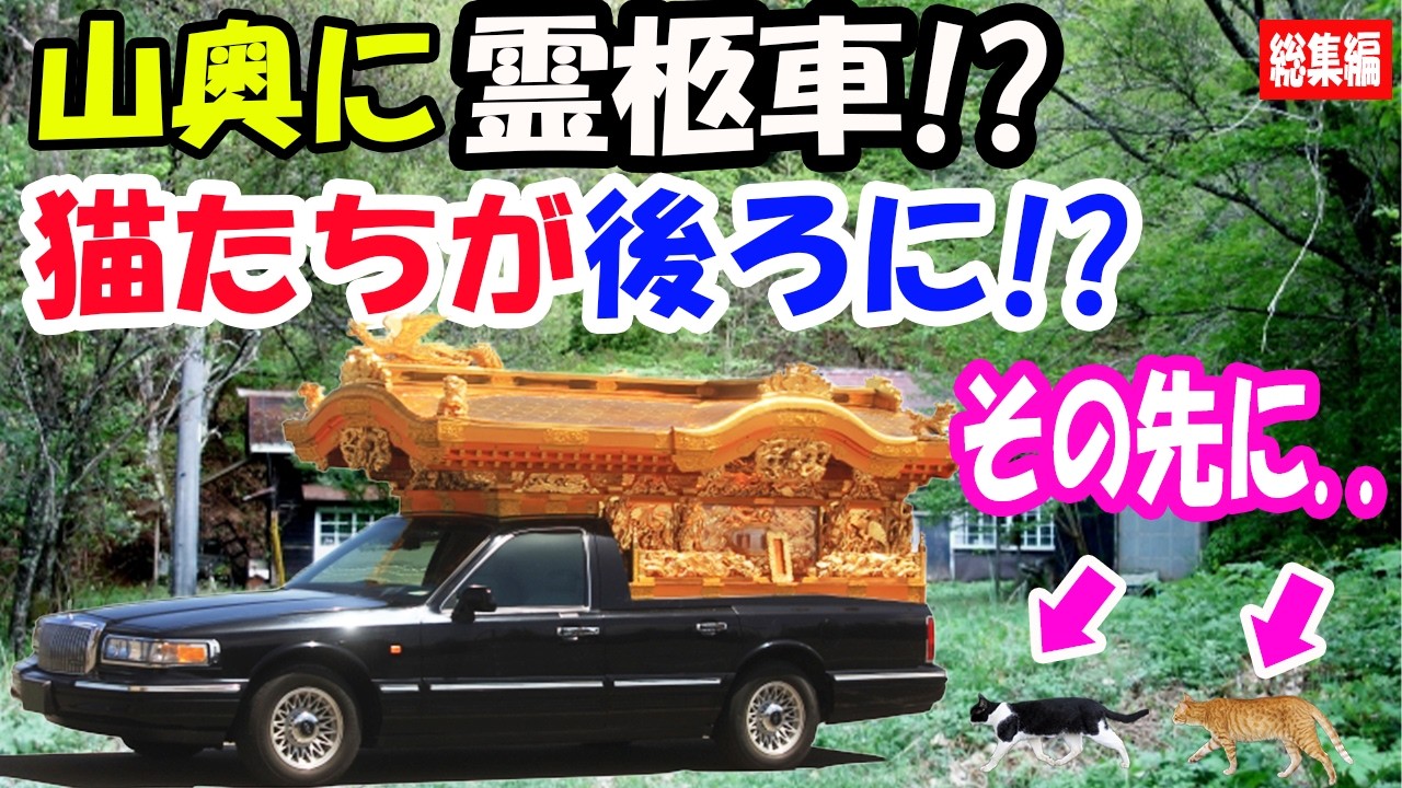 山奥に最近見ない霊柩車が!? 後ろに猫たちが付いてきていて、後を追ったら見てはいけないものが!?【猫の不思議な話】【総集編】