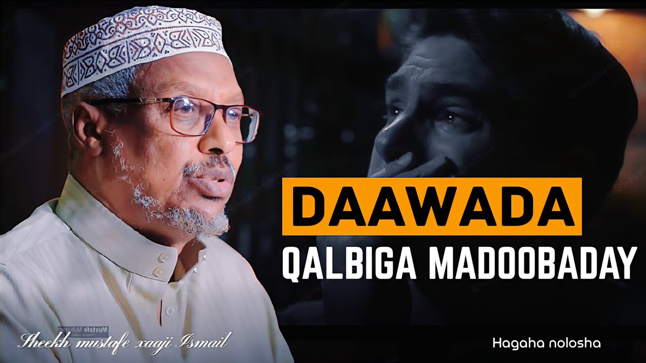 Daawada Qalbiga Madoobaday || Dhiirigalin ||Sheekh Mustafe ||@HAGAHANOLOSHA-u6d 