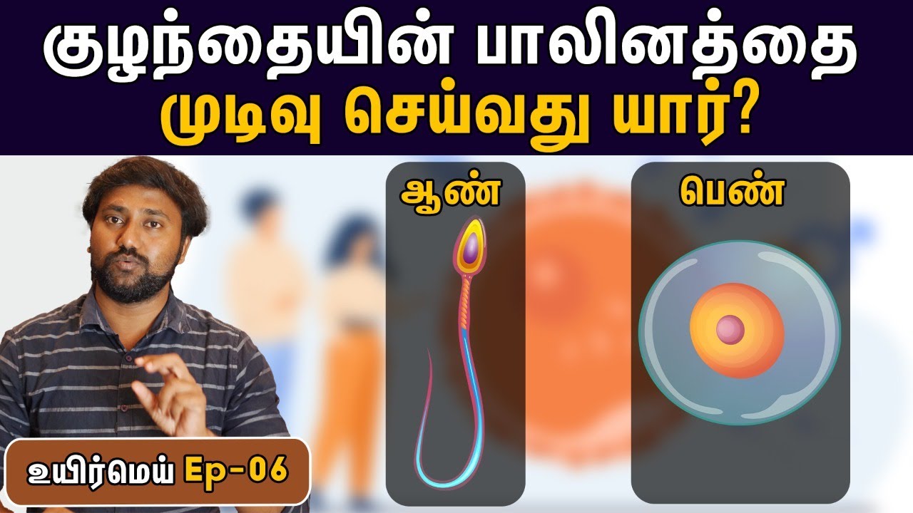 Who is responsible for child's gender? ஆண் பெண் குழந்தை முடிவு செய்வது யார்? | Uyirmei Episode 06