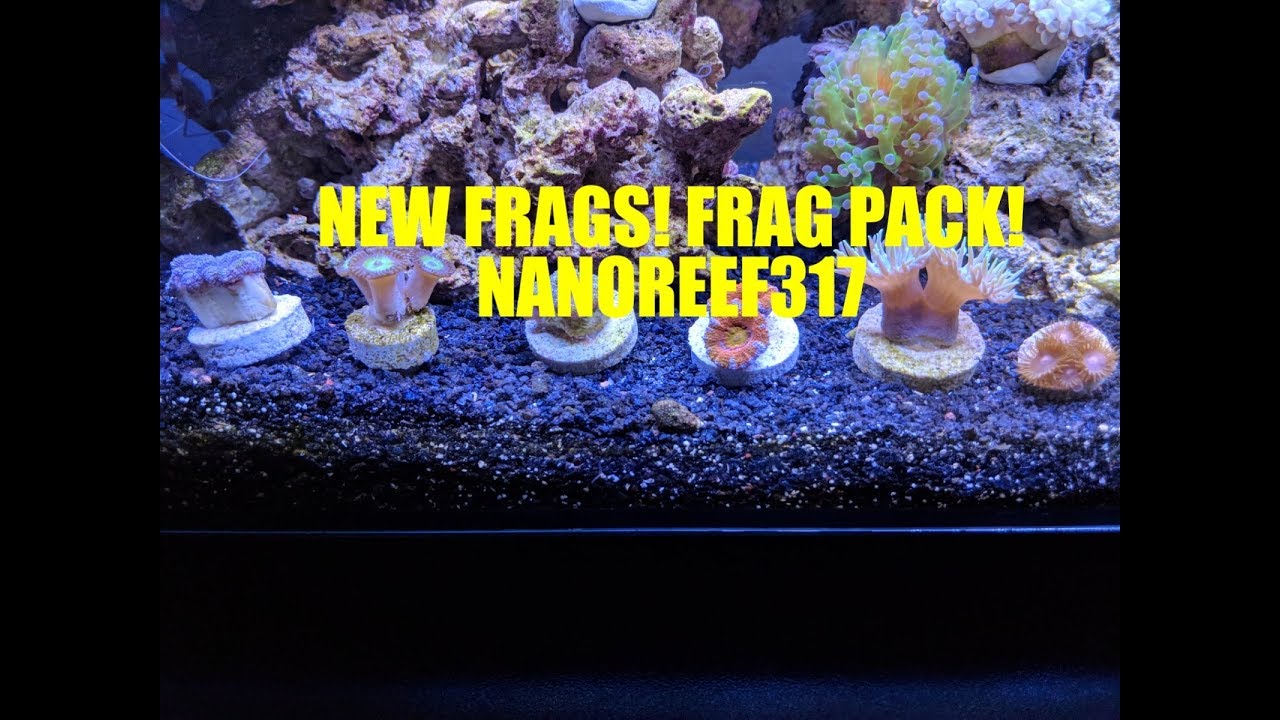 New Frags!!! Frag Pack!!!!!