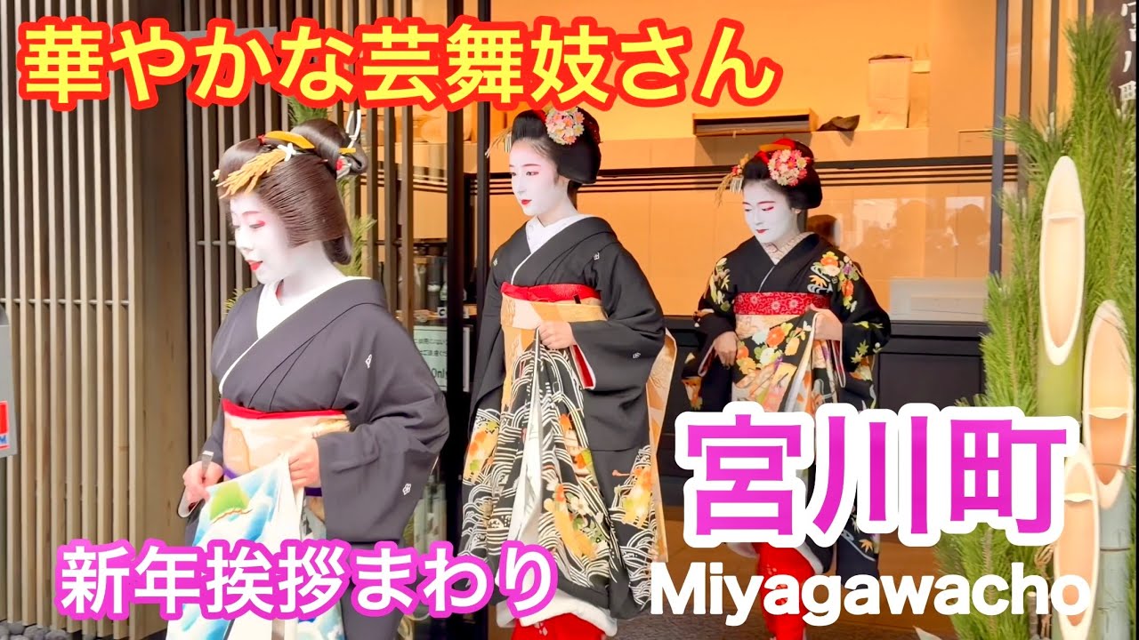 2026年1月5日 華やかな芸舞妓さんたちの新年挨拶まわり 【京都 宮川町】Geisha and maiko in Miyagawacho