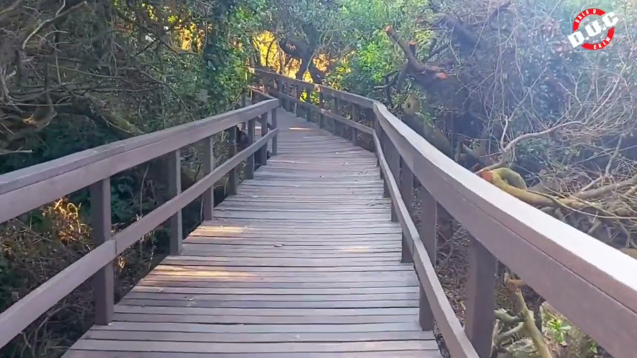 Let's go for a Walk on the Umhlanga Rocks Promenade