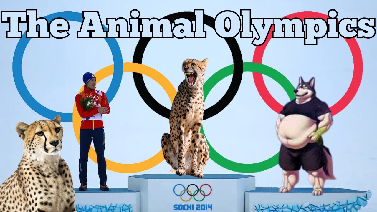 What if ANIMALS were in the Olympics?