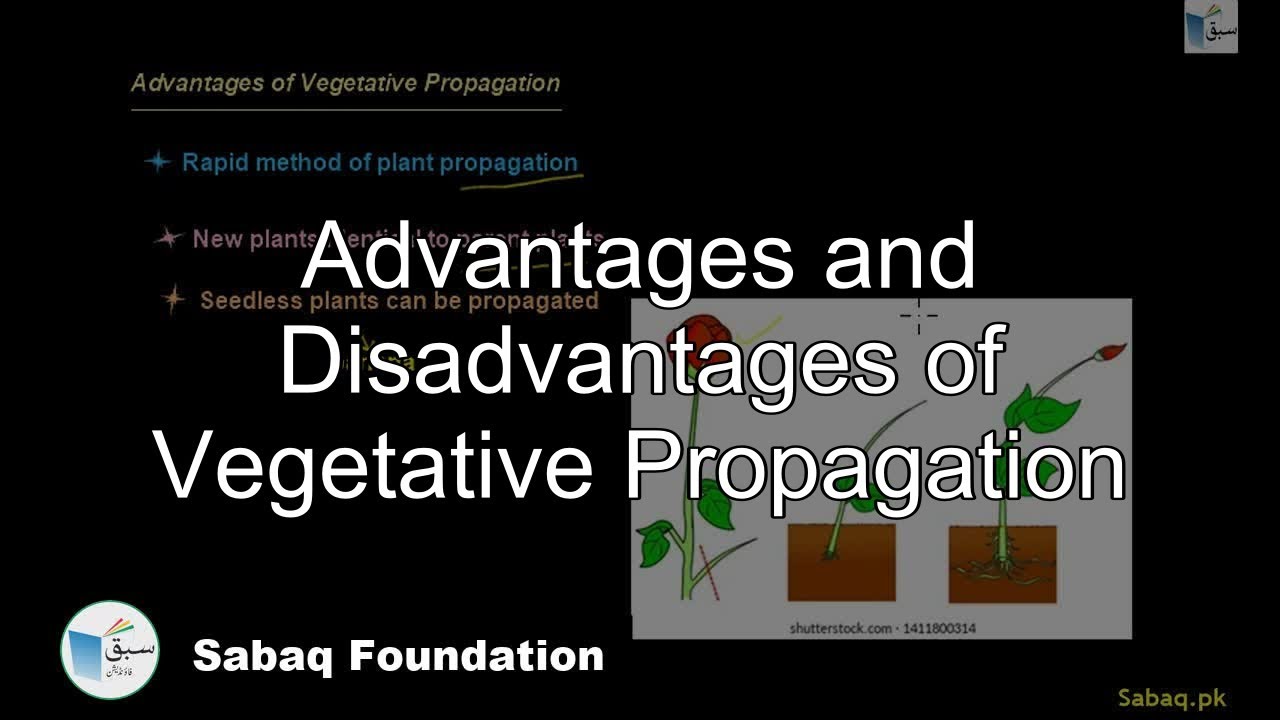 Advantages and Disadvantages of Vegetative Propagation, General Science Lecture | Sabaq.pk