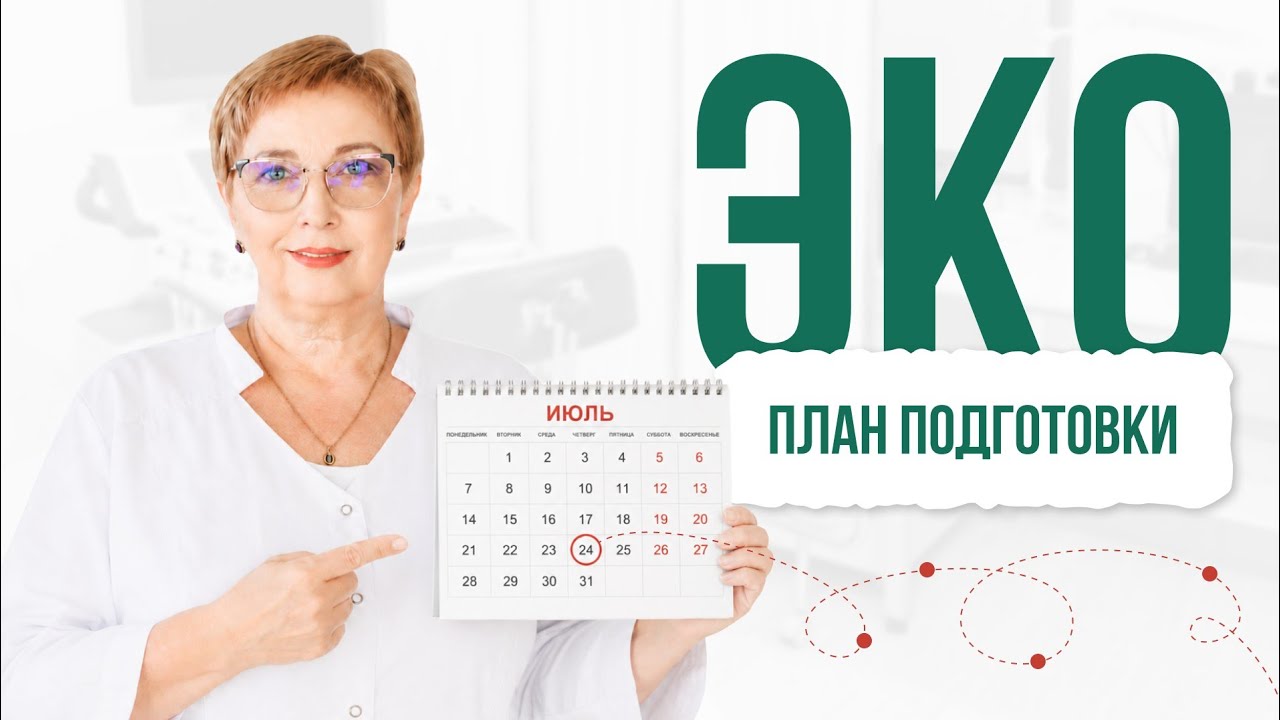 Как повысить шансы на ЭКО: план на 3-6 месяцев 🧬👩&zwj;⚕️