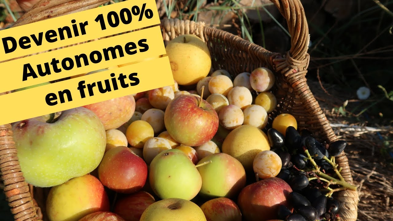 🍒🍐🌰🍇😋 100% AUTONOMES EN FRUITS 🍒🍐🌰🍇😋
