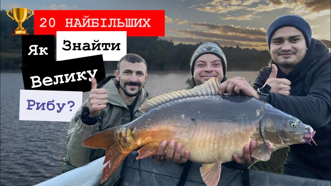 Як знайти активну рибу?