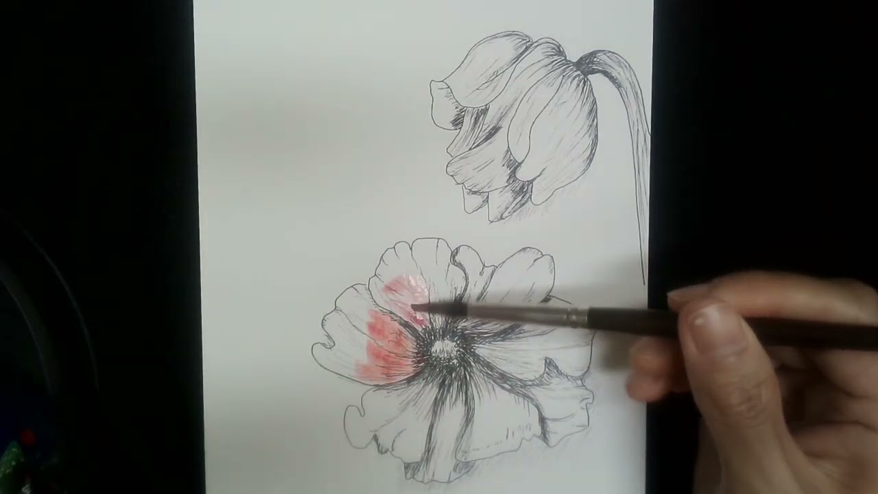Pen drawing flowers 🥀 EP 102 