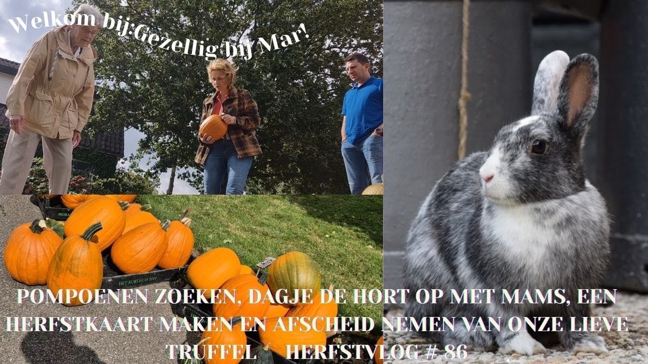 POMPOENEN ZOEKEN,DAGJE DE HORT OP MET MAMS,EEN HERFSTKAART MAKEN EN AFSCHEID  VAN LIEVE TRUFFEL # 86